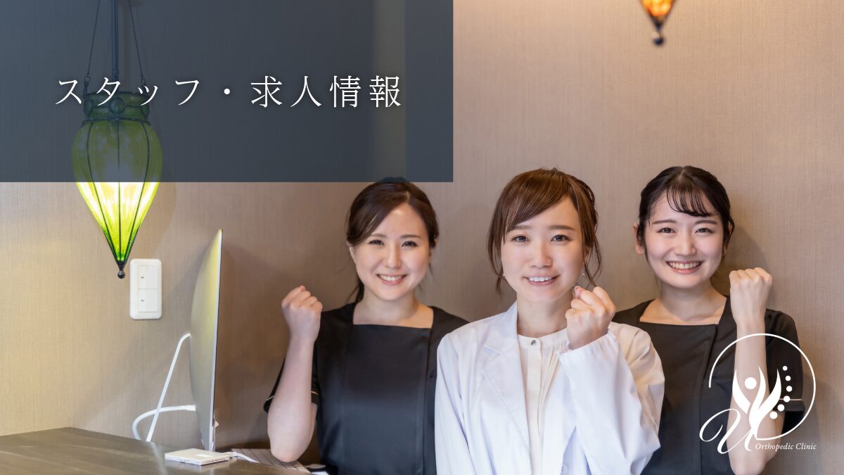 スタッフ紹介・求人情報