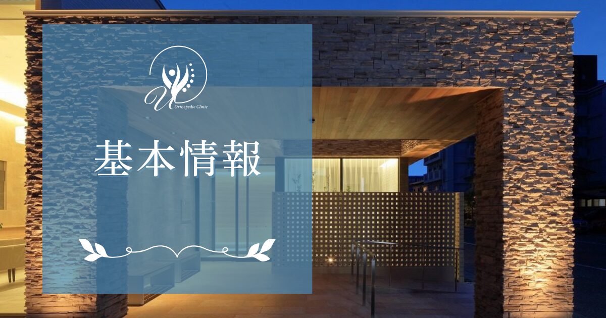 基本情報
